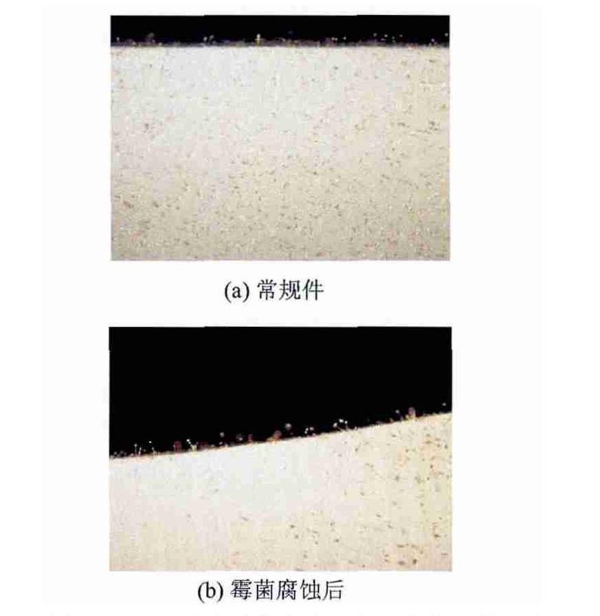 低空載人飛行器霉菌實(shí)驗(yàn)箱對(duì)飛行汽車樣品的試驗(yàn)研究(圖3)