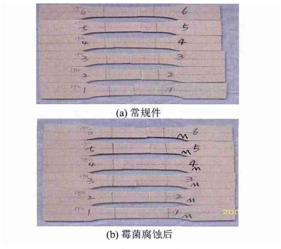 低空載人飛行器霉菌實(shí)驗(yàn)箱對(duì)飛行汽車樣品的試驗(yàn)研究(圖4)